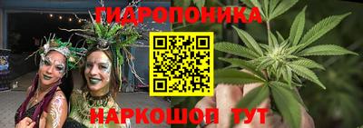 стафф Можга
