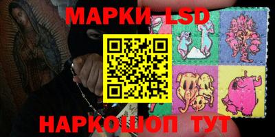 стафф Можга