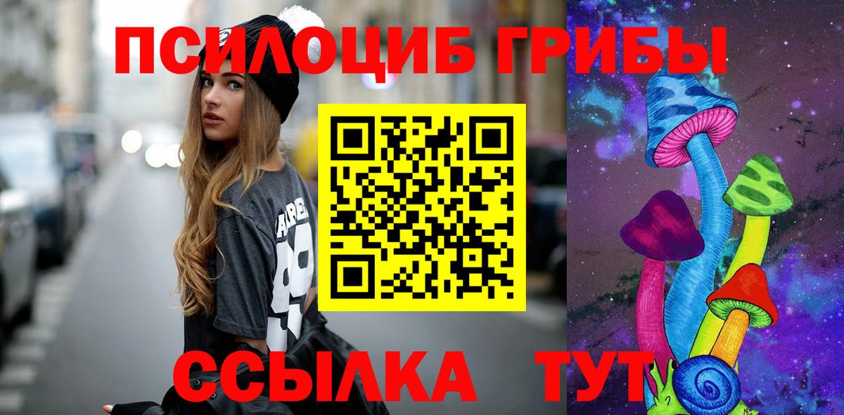 Псилоцибиновые грибы Cubensis  Вход с VPN  Пенза 