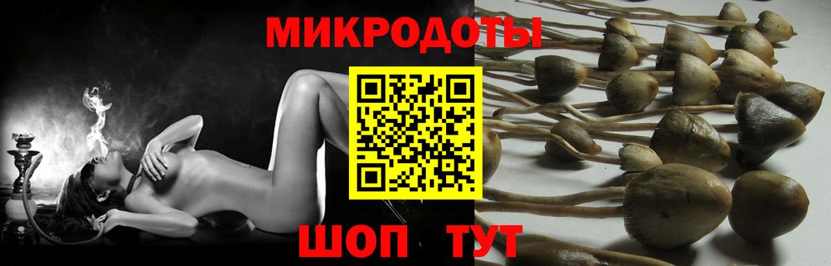 Галлюциногенные грибы GOLDEN TEACHER Пенза